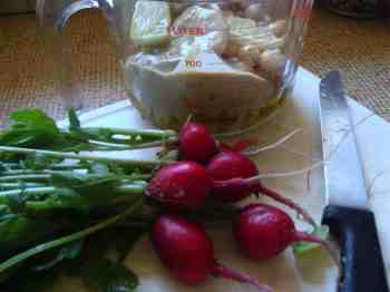 Radish health in hummus Radish health in hummus