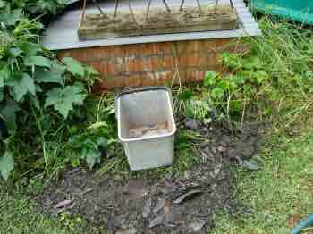 Rainwater harvests Rainwater harvests