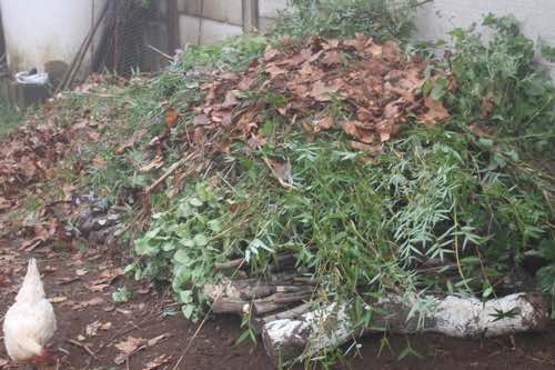 Raised compost bed: layer of plant material Raised compost bed: layer of plant material