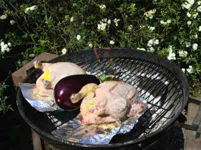 Recipe for sesame chicken eggplant. Recipe for sesame chicken eggplant.