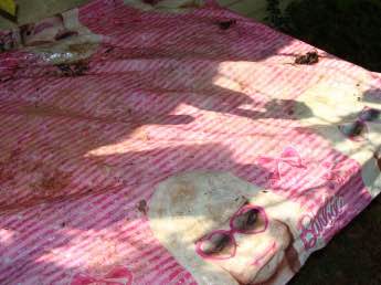 Recycling plastic and using it a second and third time will help.