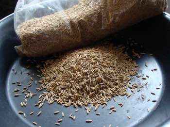 Roasting cumin seeds