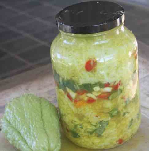 Sauer-susu Sauer-susu