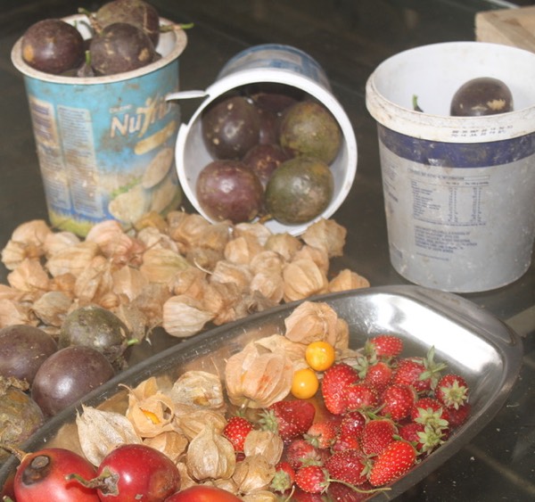 So much fruit especially strawberries