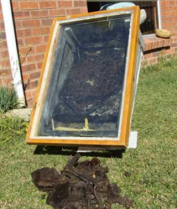 Bees wax solar extractor Bees wax solar extractor