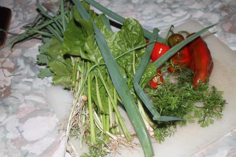 Spicy Thais curry soup ingredients. Spicy Thais curry soup ingredients.