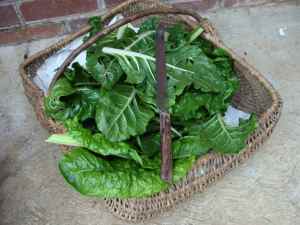 Spinach benefits in a basket. Spinach benefits in a basket.