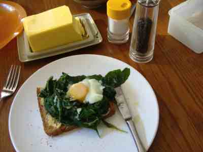 Spinach with a poached egg makes an excellent source of magnesium, choline and B vitamins for the heart. Spinach with a poached egg makes an excellent source of magnesium, choline and B vitamins for the heart.