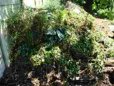 Start a compost pile Start a compost pile