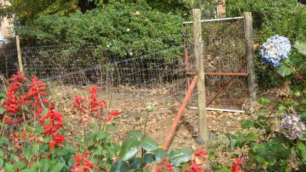 Steel gate design and fence Steel gate design and fence