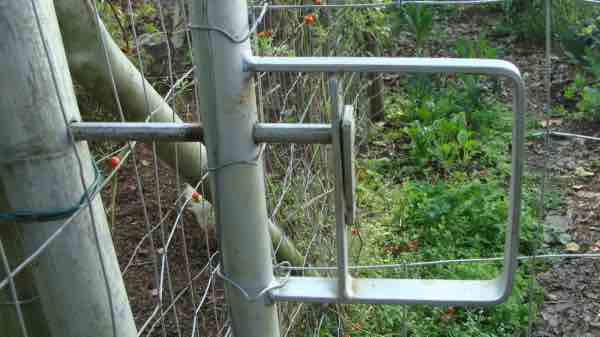 Steel gate latch by a professional Steel gate latch by a professional