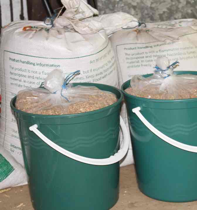 Wheat in buckets Wheat in buckets