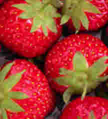 Strawberries add colour to a spinach salad.