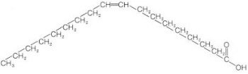 Structure oleic acid Structure oleic acid
