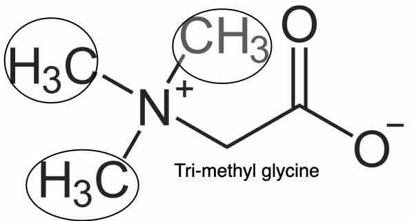 Betaine - trimethyl glycine Betaine - trimethyl glycine