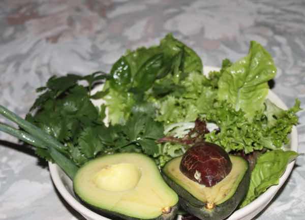 Salad green summer Salad green summer