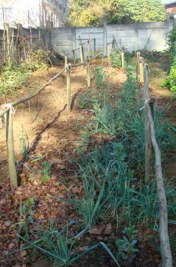 Supporting peppadews. Supporting peppadews.