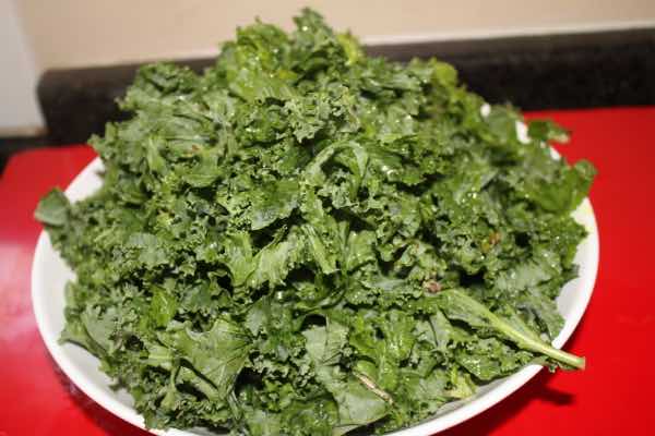 Swiss chard and kale for Indian Saag Swiss chard and kale for Indian Saag