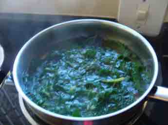 Swiss chard steaming in a pot. Swiss chard steaming in a pot.