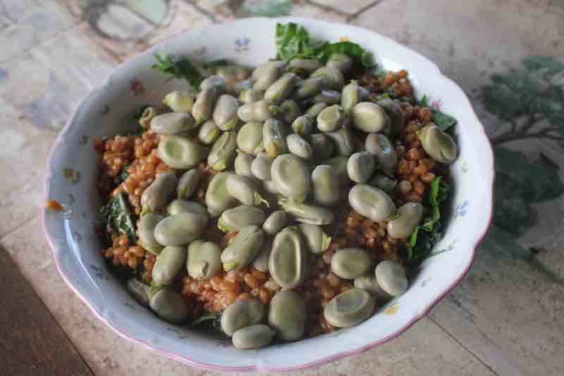Tabbouleh with fava beans. Tabbouleh with fava beans.