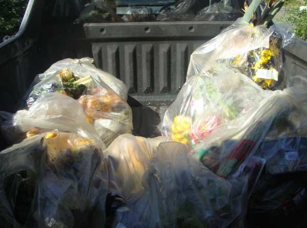 Trash destined for the worm farm