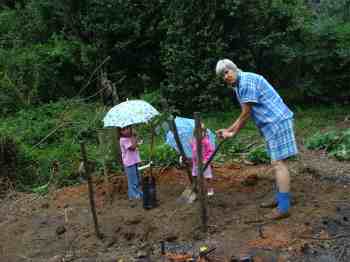 Send granny out to plant the avocado tree with help from the grandchildren. Send granny out to plant the avocado tree with help from the grandchildren.