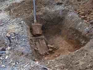 Tree planting guide says look out for some old treasures in that hole you are digging. Tree planting guide says look out for some old treasures in that hole you are digging.