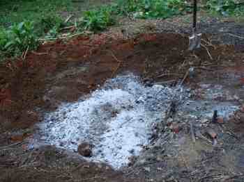 More ash before planting your avocado tree. More ash before planting your avocado tree.