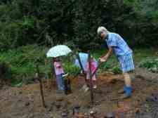 Do you need help for planting an avocado tree in your garden? Do you need help for planting an avocado tree in your garden?