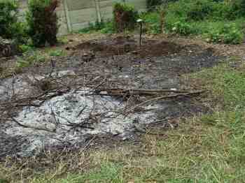 Clearing the invader species trees, and much as I hate it burning the trash was necessary before we could plant fruit trees. Clearing the invader species trees, and much as I hate it burning the trash was necessary before we could plant fruit trees.