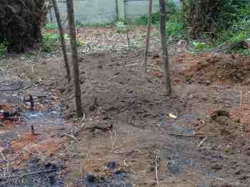 The hole for planting your tree is complete. The hole for planting your tree is complete.