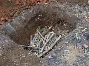 Old sticks keep the ground porous for the tree roots after planting. Old sticks keep the ground porous for the tree roots after planting.