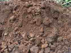 Tree planting help recommends keeping the subsoil separate. Tree planting help recommends keeping the subsoil separate.