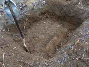 Tree planting tools. Tree planting tools.