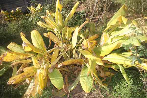 Three months later on the winter solstice