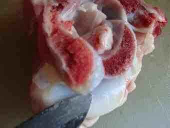 What is mutton? See the cartilage protected from osteoarthritis by broccoli. What is mutton? See the cartilage protected from osteoarthritis by broccoli.