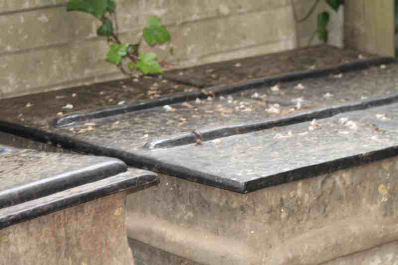 Worm farm covers fibreglassed Worm farm covers fibreglassed