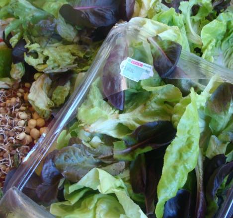 Worm farm food is often just old lettuce.