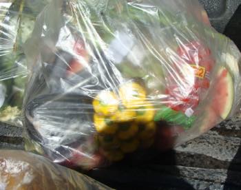 Worm farm food plastic trash bags to wean off plastic, inherent in the fifth commandment of food security. Worm farm food plastic trash bags to wean off plastic, inherent in the fifth commandment of food security.