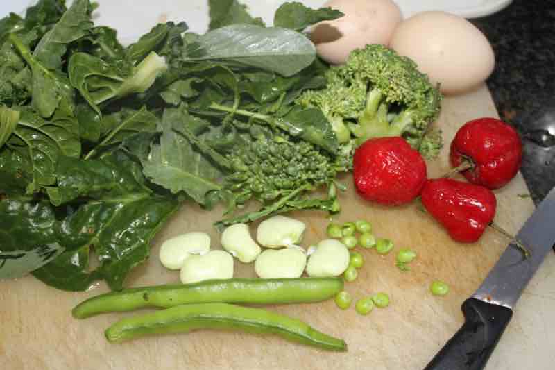 All from our green garden.