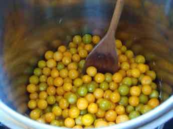 Cape gooseberries in pot. Cape gooseberries in pot.