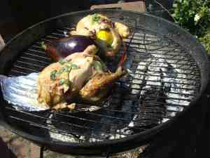 Chicken eggplant grill. Chicken eggplant grill.