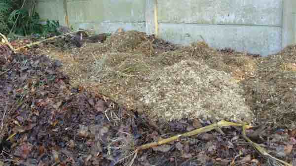 A compost heap enriched with horse manure does wonders for getting garden soil ready.