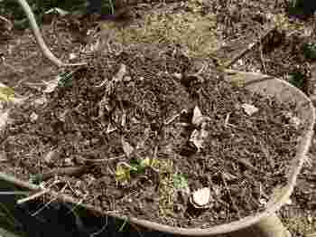 Starting a compost pile is hard physical work for the lower back.