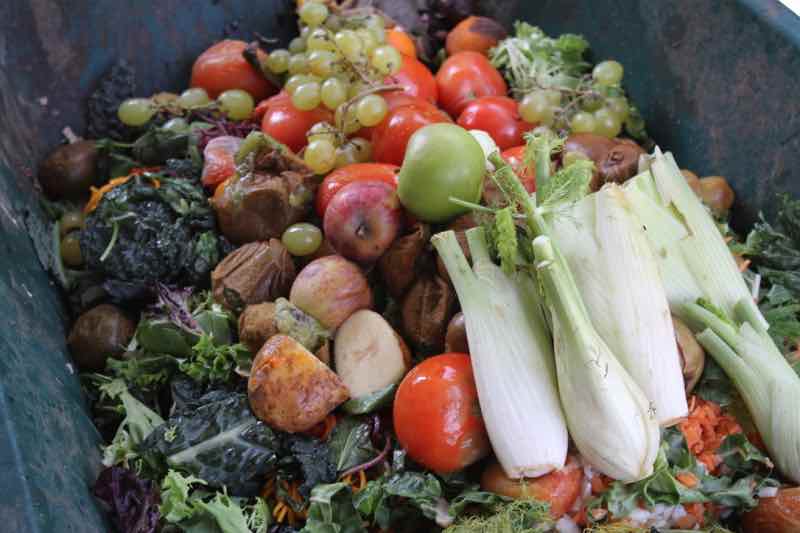 Confessions of a waste picker. Confessions of a waste picker.