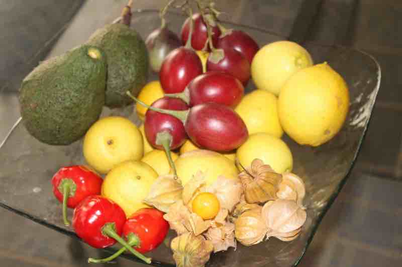 Fruit all year round Fruit all year round