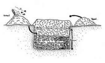 Trenching for growing chickpeas and butternut squash. Trenching for growing chickpeas and butternut squash.