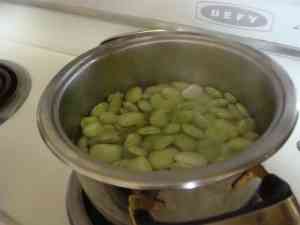 Lima beans simmering in a pot. Lima beans simmering in a pot.