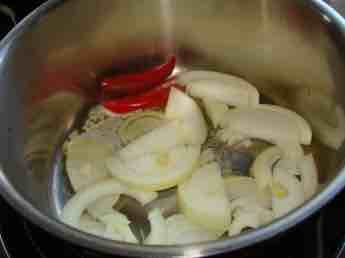 Planting broccoli in pot with onions for eggs Hilton. Planting broccoli in pot with onions for eggs Hilton.