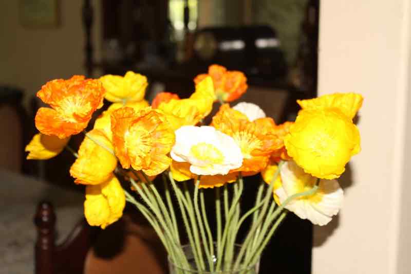 Poppies from the gardener.
